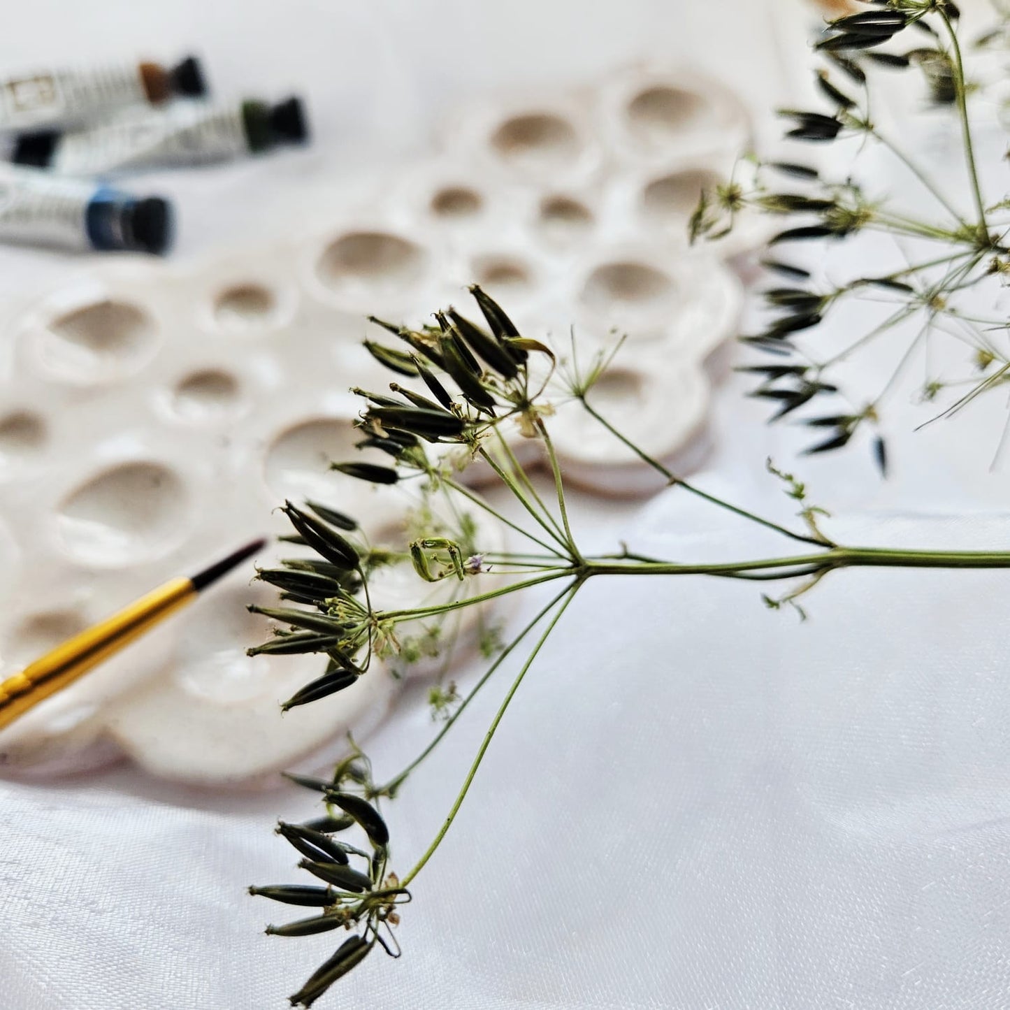 Watercolour Paint Palette Spirit