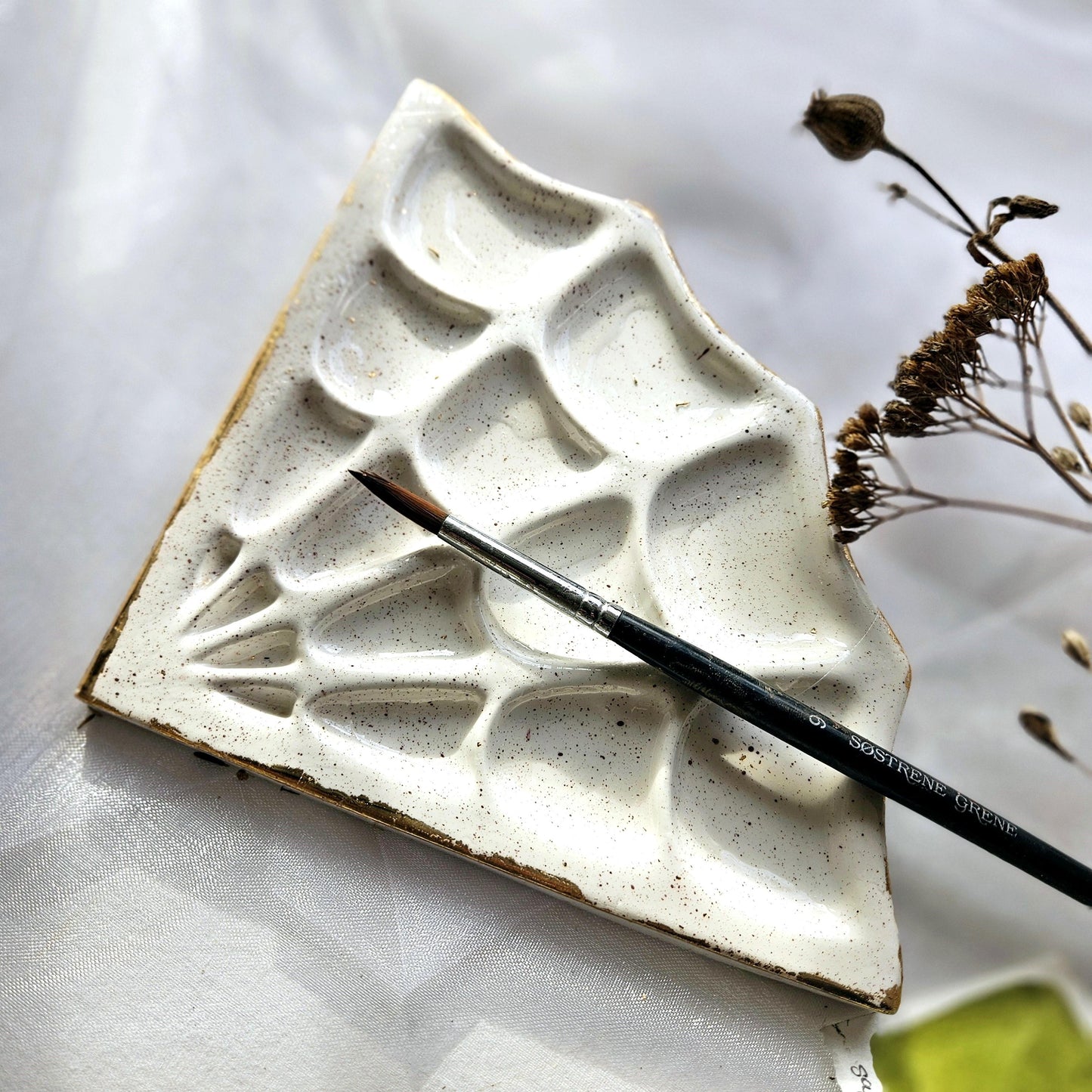 Spider Web Schilderpalet