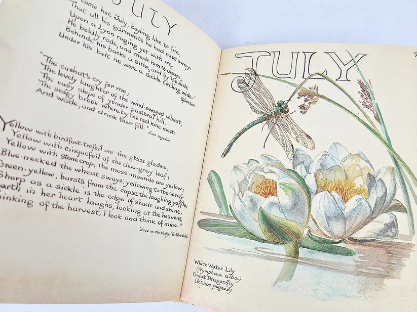 Inspiration book: Edith Holden