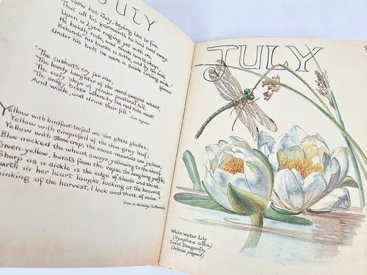 Inspiration book: Edith Holden